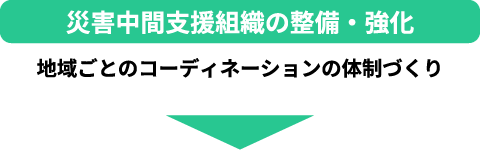 災害中間支援組織の整備・強化